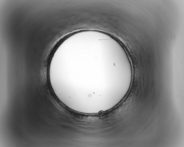 X0000096651503200802261309