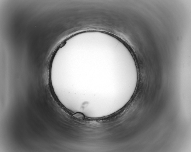 X0000096651504200802261309