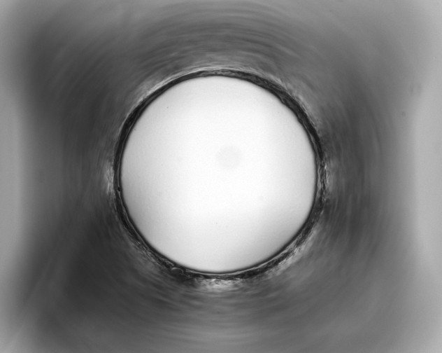 X0000096651505200802261309