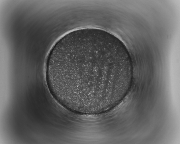 X0000096651508200802261309