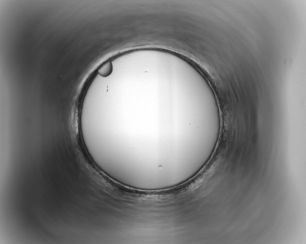 X0000096651510200802261309