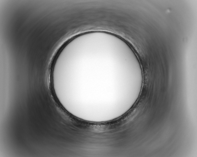 X0000096651511200802261309