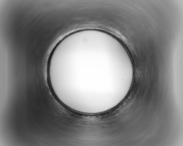 X0000096651512200802261309