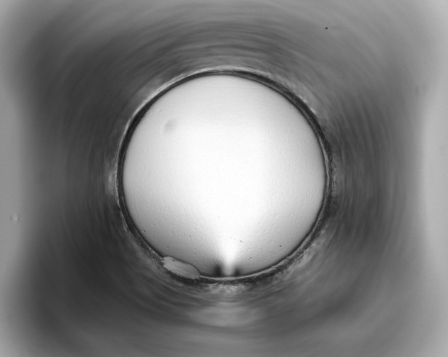 X0000096651513200802261309