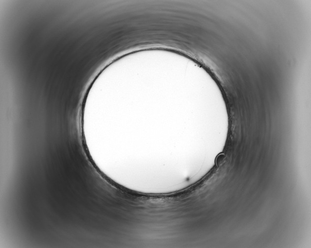 X0000096651516200802261309