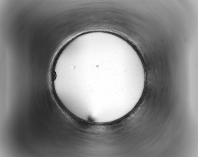 X0000096651517200802261309