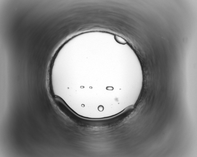 X0000096651518200802261309