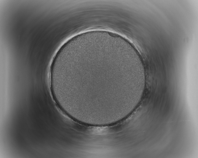 X0000096651519200802261309