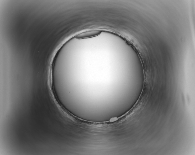 X0000096651520200802261309