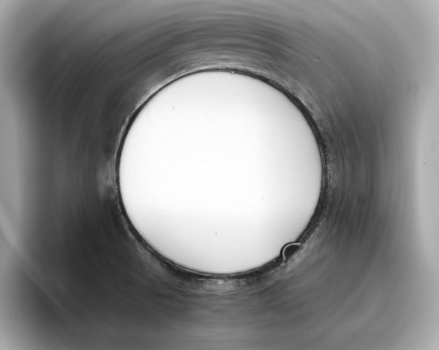 X0000096651521200802261309