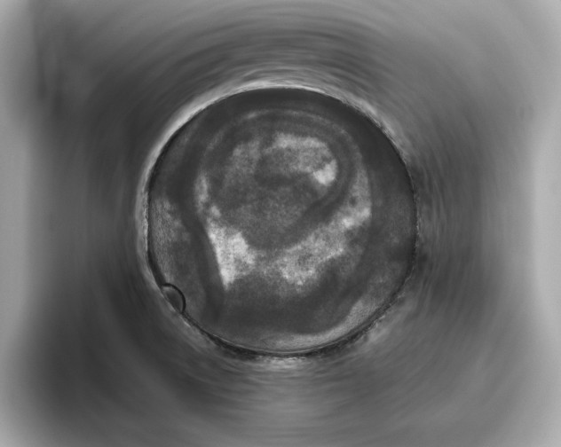 X0000096651522200802261309