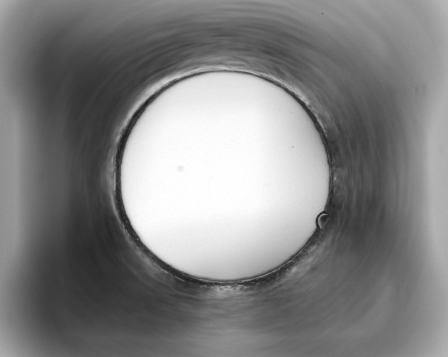 X0000096651523200802261309