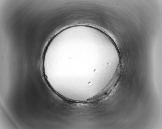 X0000096651525200802261309