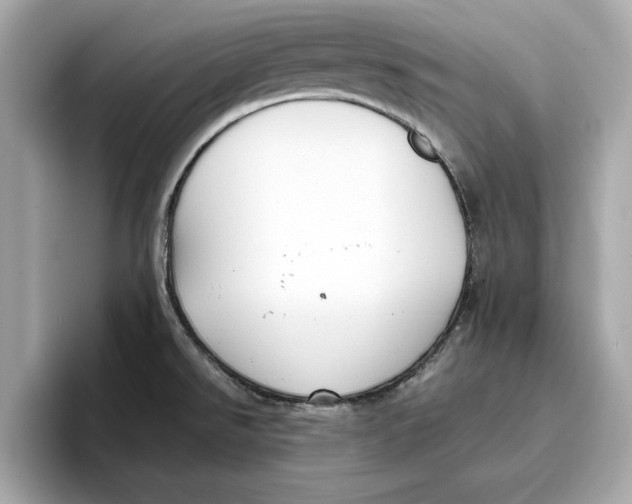 X0000096651526200802261309