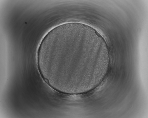 X0000096651527200802261309