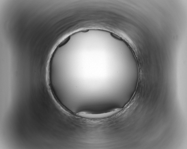 X0000096651528200802261309