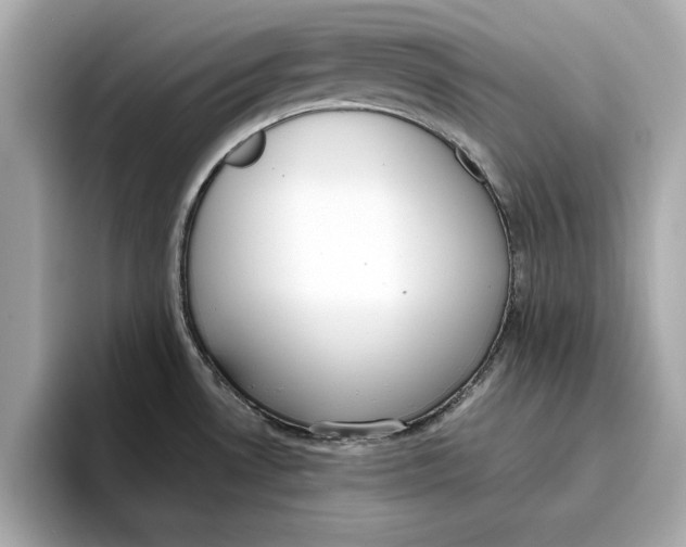 X0000096651530200802261309