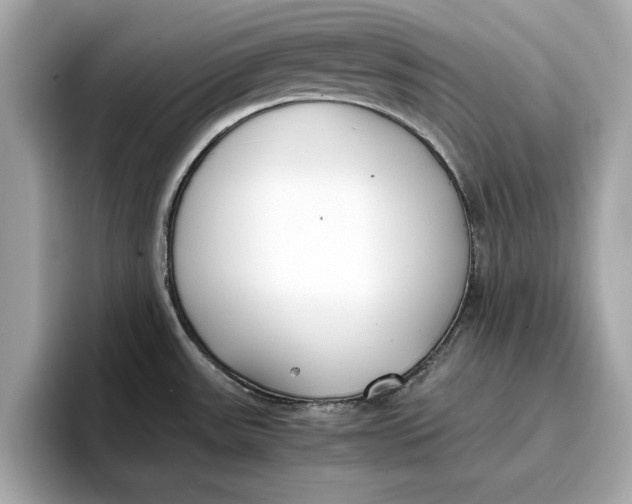 X0000096651531200802261309