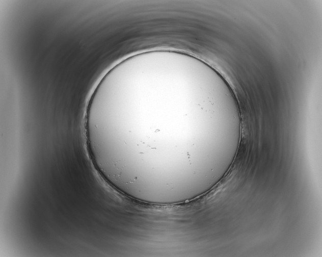 X0000096651532200802261309