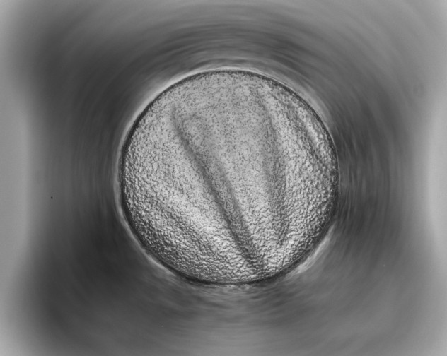 X0000096651533200802261309