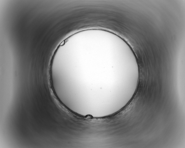 X0000096651534200802261309