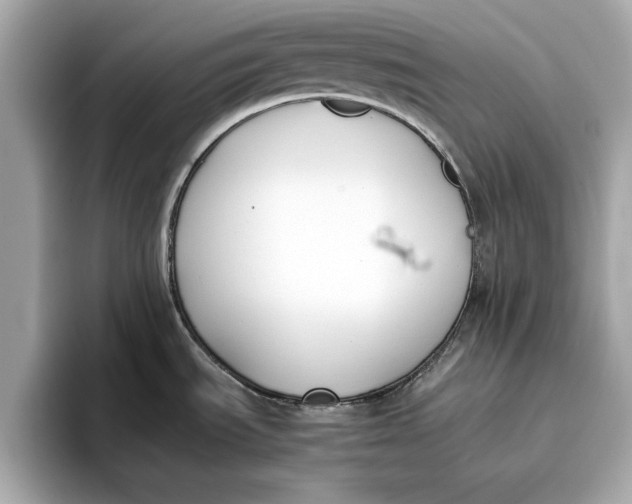 X0000096651535200802261309