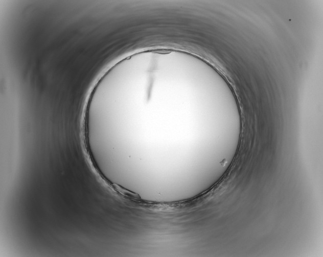 X0000096651536200802261309