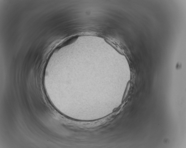 X0000096650001200803041159