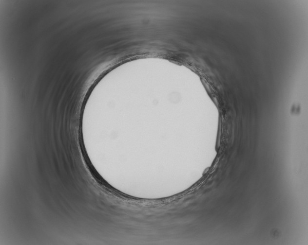 X0000096650003200803041159