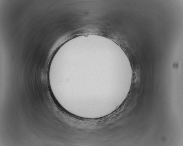 X0000096650004200803041159