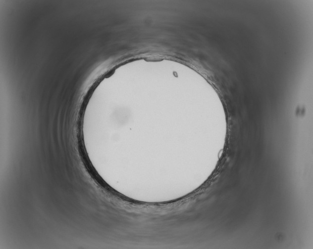 X0000096650007200803041159