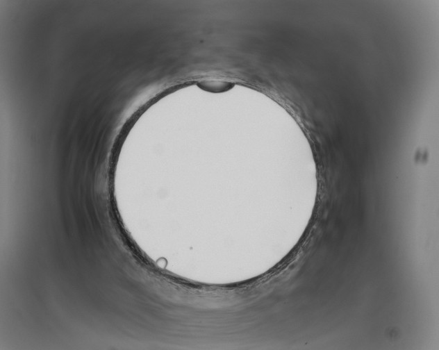 X0000096650008200803041159