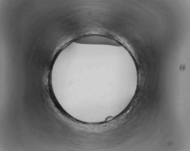 X0000096650010200803041159