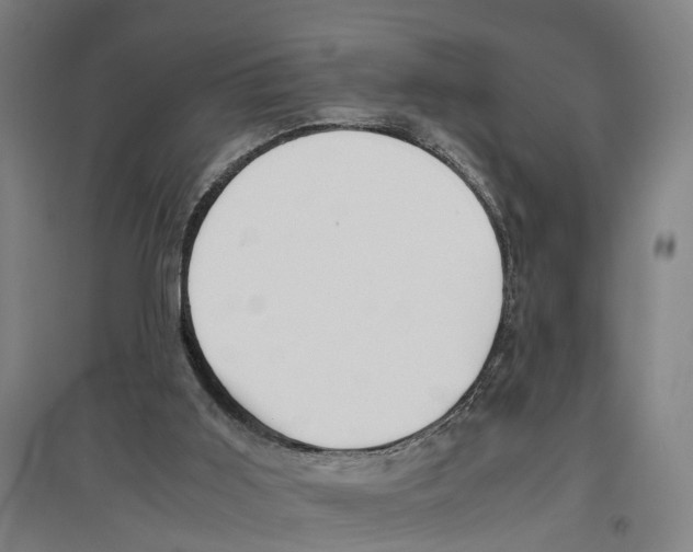 X0000096650011200803041159