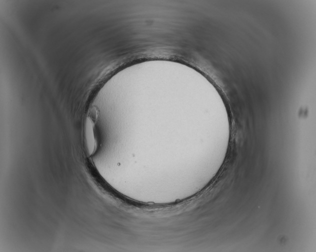 X0000096650013200803041159