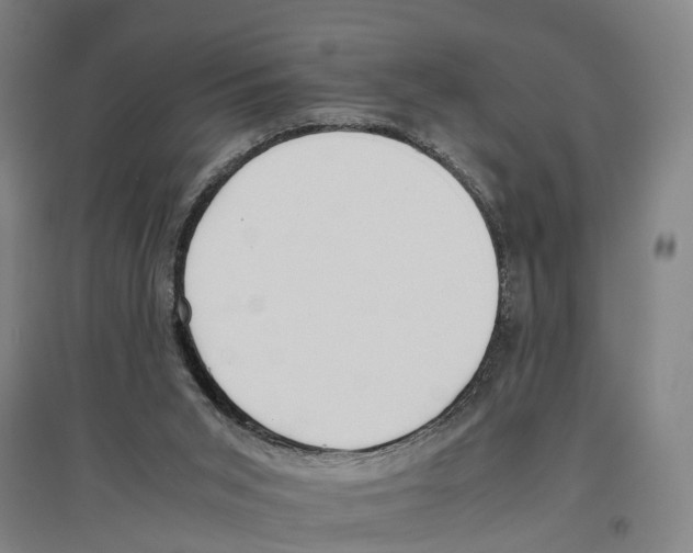 X0000096650015200803041159