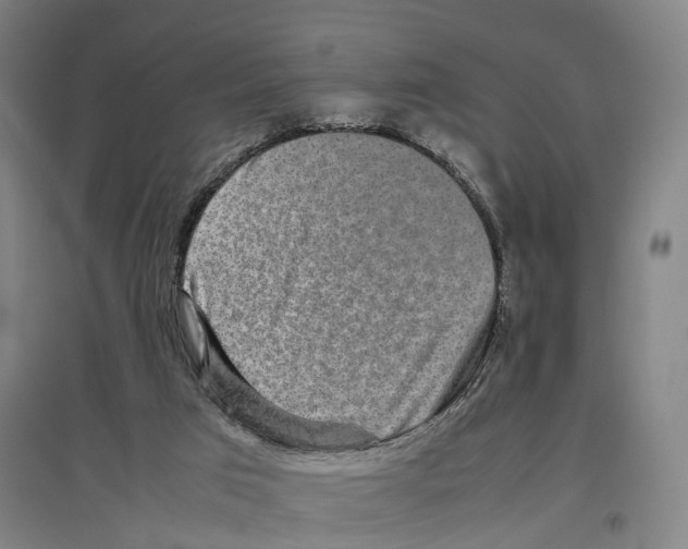 X0000096650017200803041159