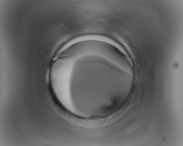 X0000096650019200803041159