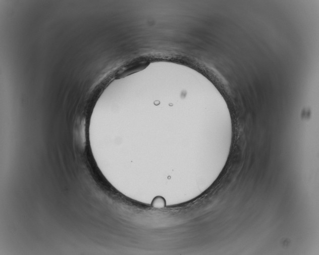 X0000096650020200803041159