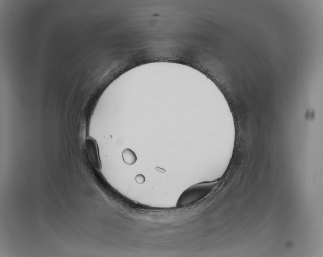 X0000096650021200803041159