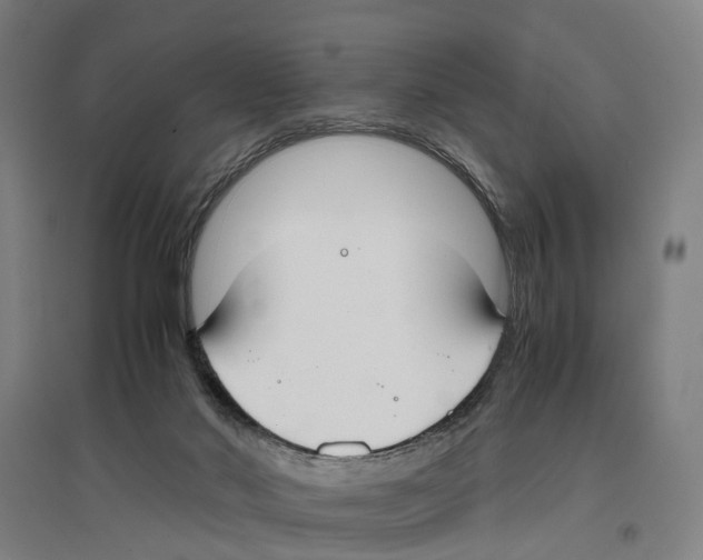 X0000096650022200803041159