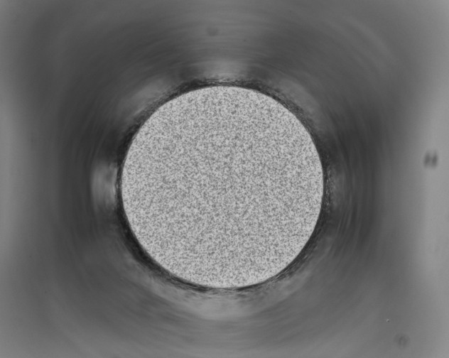 X0000096650024200803041159