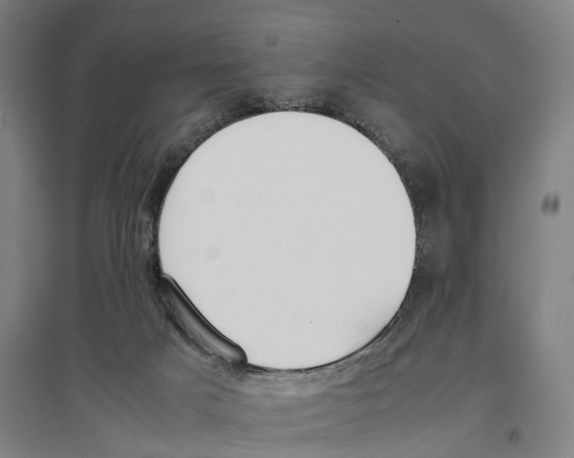 X0000096650025200803041159