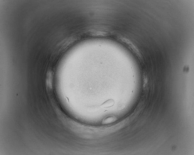 X0000096650026200803041159