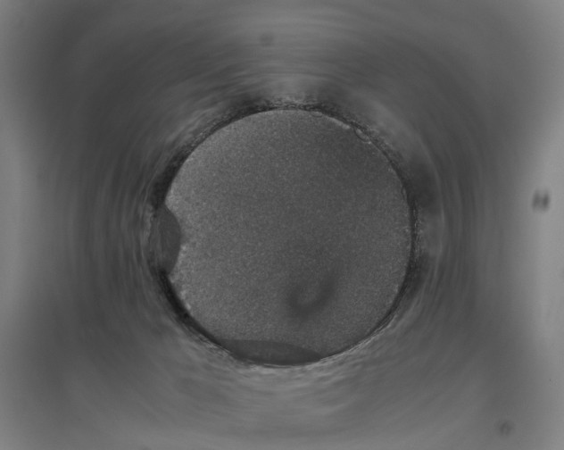 X0000096650029200803041159