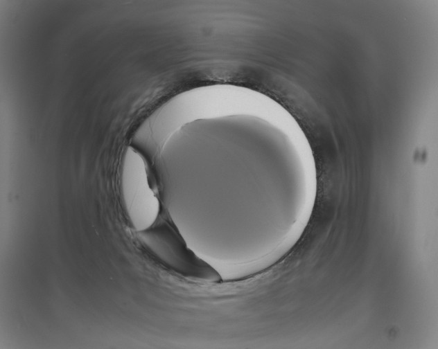 X0000096650031200803041159