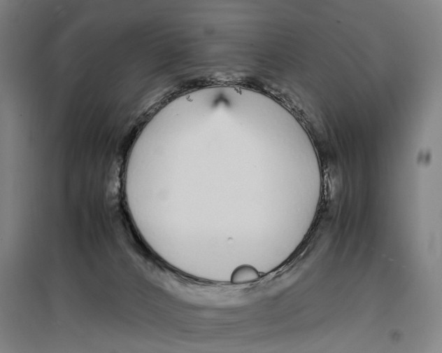 X0000096650032200803041159