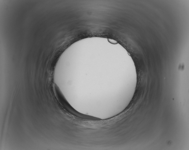 X0000096650033200803041159