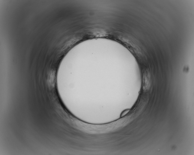 X0000096650034200803041159