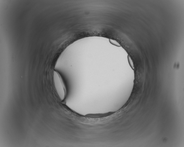 X0000096650037200803041159